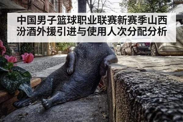 中国男子篮球职业联赛新赛季山西汾酒外援引进与使用人次分配分析